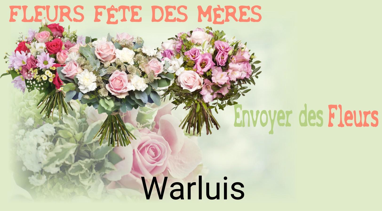 Bouquet de Fête des Mères livré à Warluis